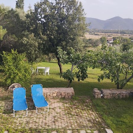 Appartamento In Villa Bruno Olbia Exteriör bild